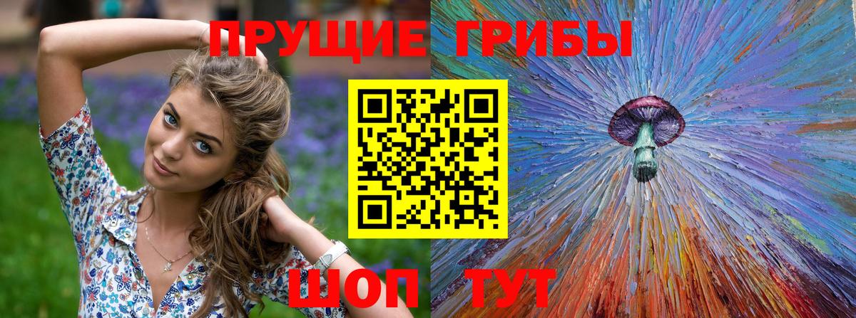 Саранск  Галлюциногенные грибы Psilocybe  Вход с VPN 