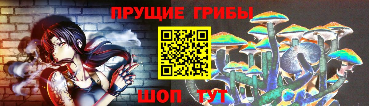 Псилоцибиновые грибы Cubensis Саранск